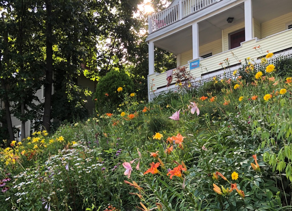 Sustainability Journal | August&nbsp;2020