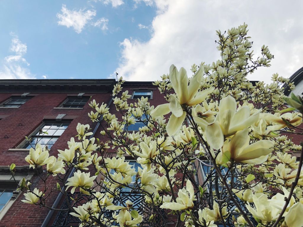 Finding your place in the environmental&nbsp;movement