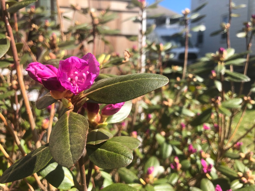 Sustainability Journal | Apr&nbsp;2022